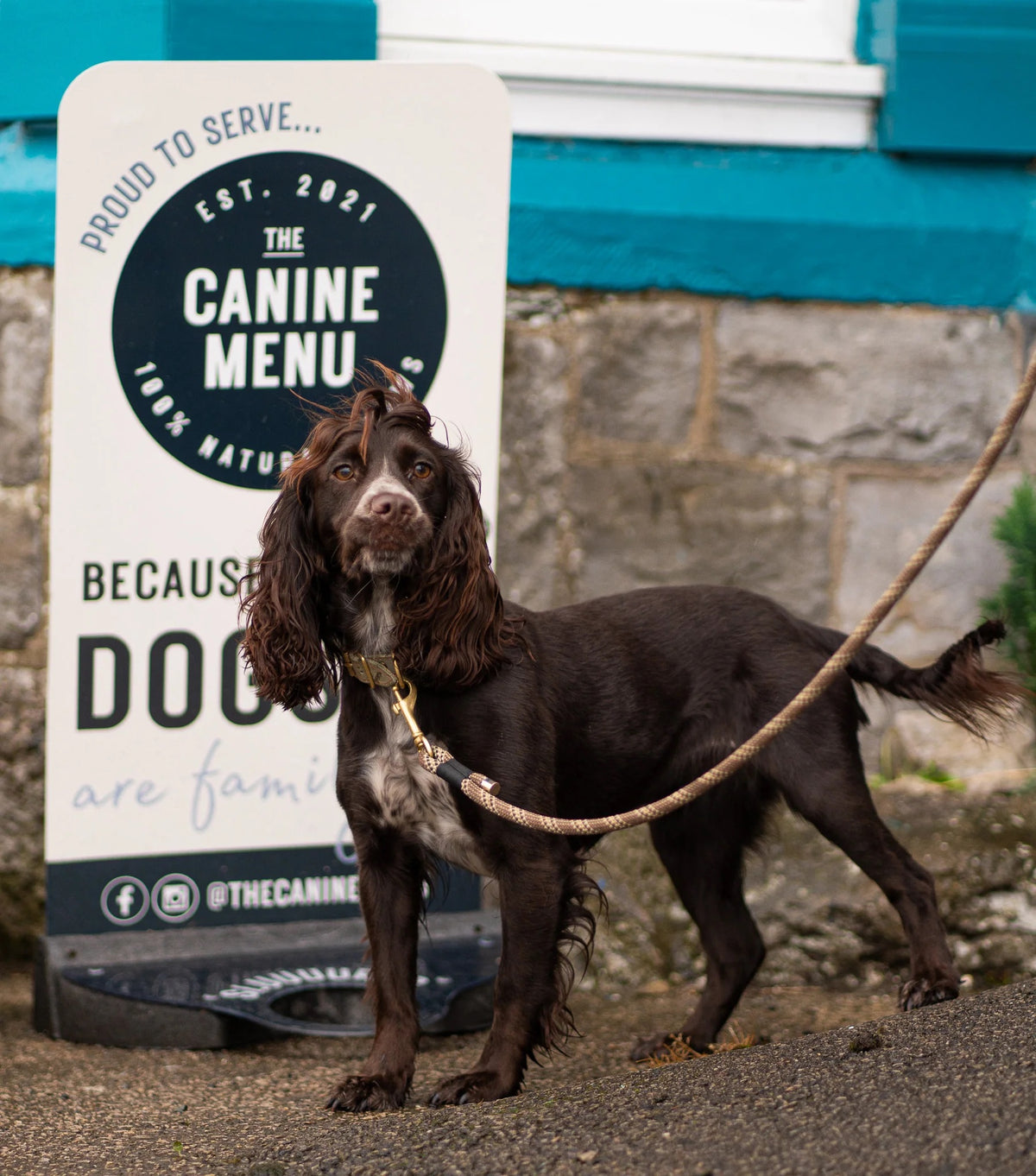The Canine Menu Pavement Stand with water bowl