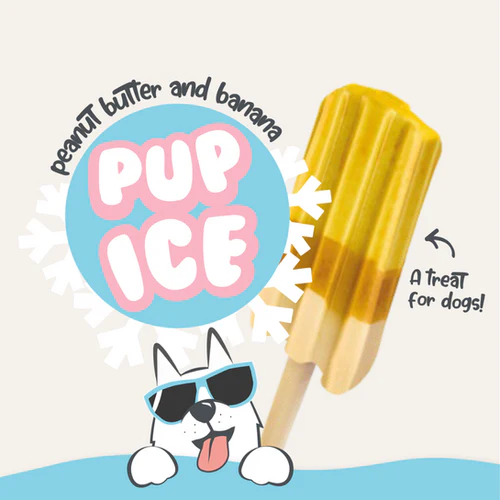 Pup Ice -jäätelö koirille (25 kpl)